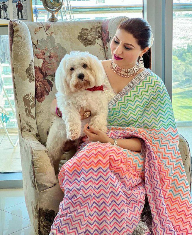 TAAREFO WALE DESIGNER  COTTON LINEN SAREE